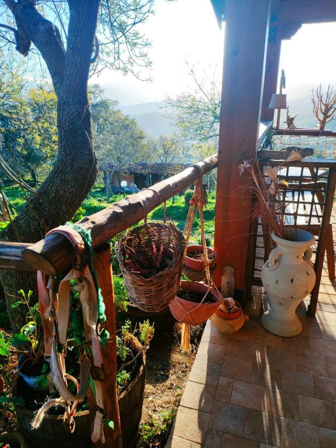 Room In Casa Castiglia A Woodhouse With Beautiful View Close Madonie Park Castelbuono  Exterior foto